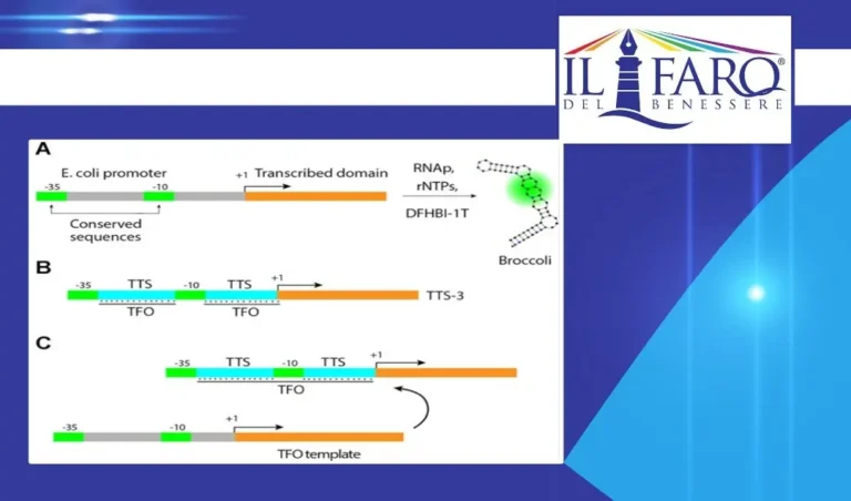 RNA